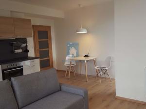 Pronájem bytu 2+kk, Plzeň, U Velkého rybníka, 47 m2