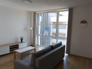 Pronájem bytu 2+kk, Plzeň, U Velkého rybníka, 47 m2