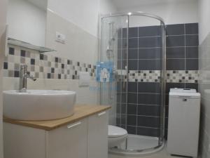Pronájem bytu 2+kk, Plzeň, U Velkého rybníka, 47 m2