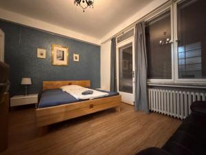 Pronájem bytu 2+1, Praha - Nové Město, Karlovo náměstí, 75 m2