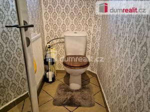 Prodej rodinného domu, Suchdol nad Lužnicí, Pražská, 180 m2