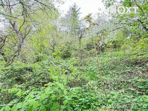 Prodej zahrady, Žatec, 2070 m2