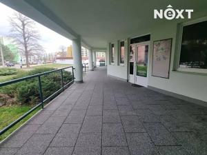 Prodej bytu 5+kk, České Budějovice, Ant. Barcala, 140 m2
