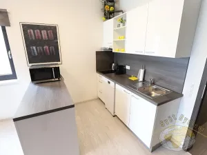 Pronájem bytu 1+kk, Praha - Karlín, U Mlýnského kanálu, 41 m2
