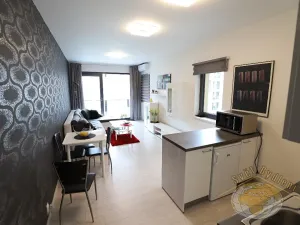 Pronájem bytu 1+kk, Praha - Karlín, U Mlýnského kanálu, 41 m2