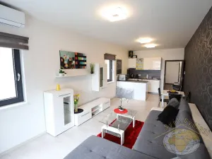 Pronájem bytu 1+kk, Praha - Karlín, U Mlýnského kanálu, 41 m2