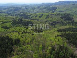 Prodej pozemku, Horní Město - Stříbrné Hory, 11518 m2