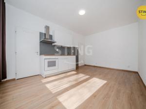 Prodej bytu 1+kk, Ostrava, Francouzská, 21 m2