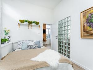 Pronájem bytu 2+kk, Albrechtice nad Orlicí, 1. máje, 35 m2