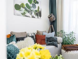 Pronájem bytu 2+kk, Albrechtice nad Orlicí, 1. máje, 35 m2