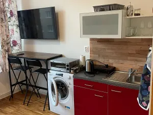 Pronájem bytu 1+kk, Praha - Střešovice, Parléřova, 21 m2