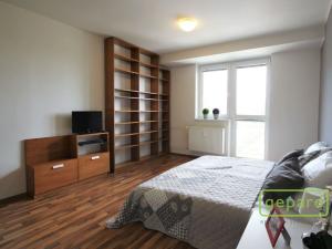 Pronájem bytu 1+kk, Brno - Židenice, Pálavské náměstí, 37 m2
