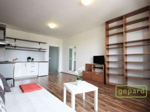 Pronájem bytu 1+kk, Brno - Židenice, Pálavské náměstí, 37 m2