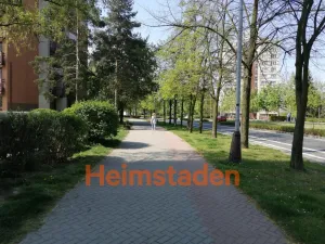 Pronájem obchodního prostoru, Orlová - Lutyně, Masarykova třída, 20 m2