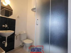 Pronájem bytu 2+1, České Budějovice - České Budějovice 3, 42 m2