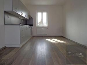 Pronájem bytu 1+1, Teplice, Denisova, 55 m2