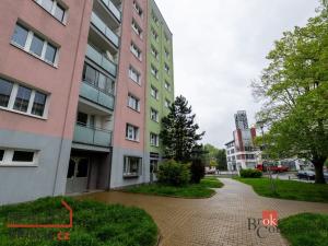 Pronájem bytu 2+1, Plzeň - Východní Předměstí, Krejčíkova, 53 m2