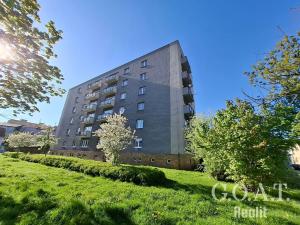 Prodej bytu 3+1, Plzeň, Nad Týncem, 77 m2