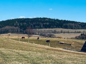Prodej rodinného domu, Písařov, 130 m2