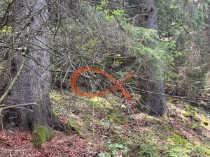 Prodej lesa, Nový Hrozenkov, 36473 m2