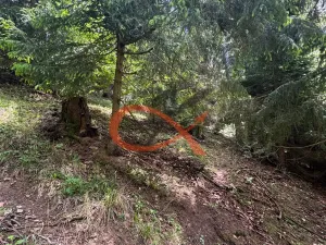 Prodej lesa, Nový Hrozenkov, 36473 m2