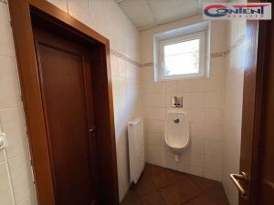 Pronájem výrobních prostor, Brno - Maloměřice, Kulkova, 4770 m2