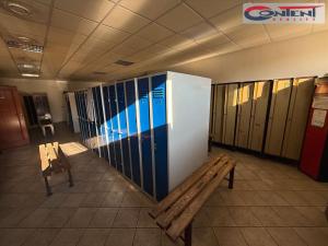 Pronájem výrobních prostor, Brno - Maloměřice, Kulkova, 4770 m2