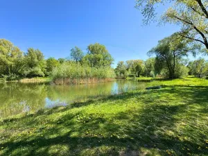 Prodej bytu 2+1, Milovice, Braniborská, 39 m2