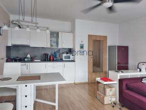 Pronájem bytu 1+kk, Praha - Michle, V dolině, 32 m2