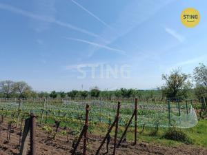 Prodej sadu/vinice, Hrušky, 1110 m2