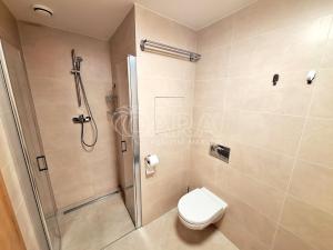 Pronájem bytu 1+kk, Praha - Hloubětín, Poděbradská, 32 m2