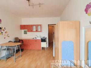 Pronájem bytu 1+kk, Plzeň, Říční, 27 m2