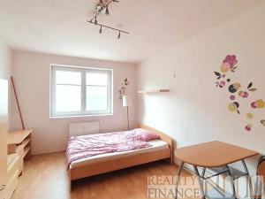Pronájem bytu 1+kk, Plzeň, Říční, 27 m2
