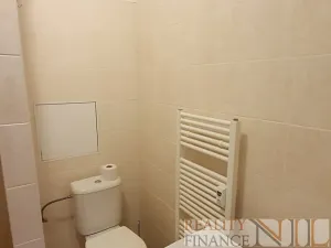 Pronájem bytu 1+kk, Plzeň, Říční, 27 m2