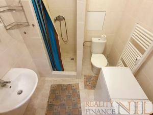 Pronájem bytu 1+kk, Plzeň, Říční, 27 m2