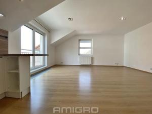Prodej bytu 2+kk, Brno, Nálepkova, 67 m2
