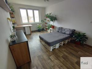 Prodej bytu 1+1, Kynšperk nad Ohří, U Pivovaru, 39 m2