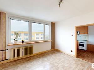 Prodej bytu 2+1, Pardubice, Na Rybníčkách, 42 m2