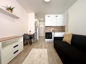 Pronájem bytu 1+kk, Praha - Smíchov, Plzeňská, 20 m2