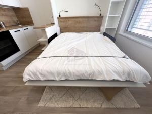 Pronájem bytu 1+kk, Praha - Smíchov, Plzeňská, 20 m2