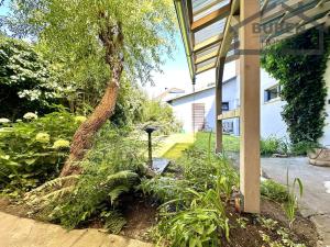 Pronájem bytu 3+kk, Tachov, Dolní Předměstí, 90 m2