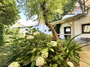 Pronájem bytu 3+kk, Tachov, Dolní Předměstí, 90 m2