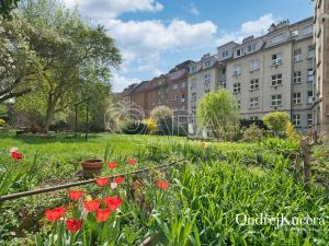 Prodej bytu 2+kk, Praha - Braník, Branická, 50 m2