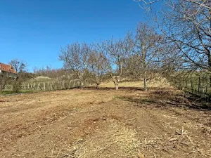 Prodej pozemku pro bydlení, Nové Bránice, 4162 m2