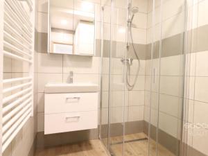 Pronájem bytu 2+kk, Praha - Žižkov, Jeseniova, 50 m2