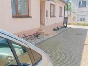 Prodej rodinného domu, Lednice, Pekařská, 458 m2