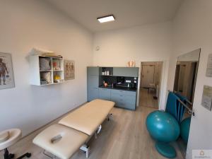 Prodej bytu 1+kk, Olomouc, Wolkerova, 33 m2