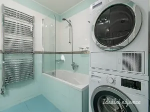 Pronájem bytu 3+kk, Praha - Vinohrady, Nad olšinami, 54 m2