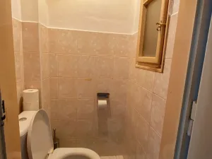 Pronájem bytu 1+1, Praha - Nusle, V Horkách, 52 m2