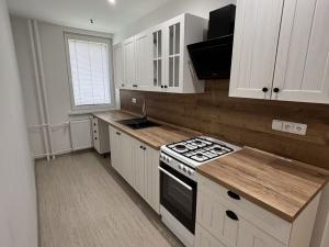 Prodej bytu 2+1, Horní Slavkov, Dlouhá, 49 m2